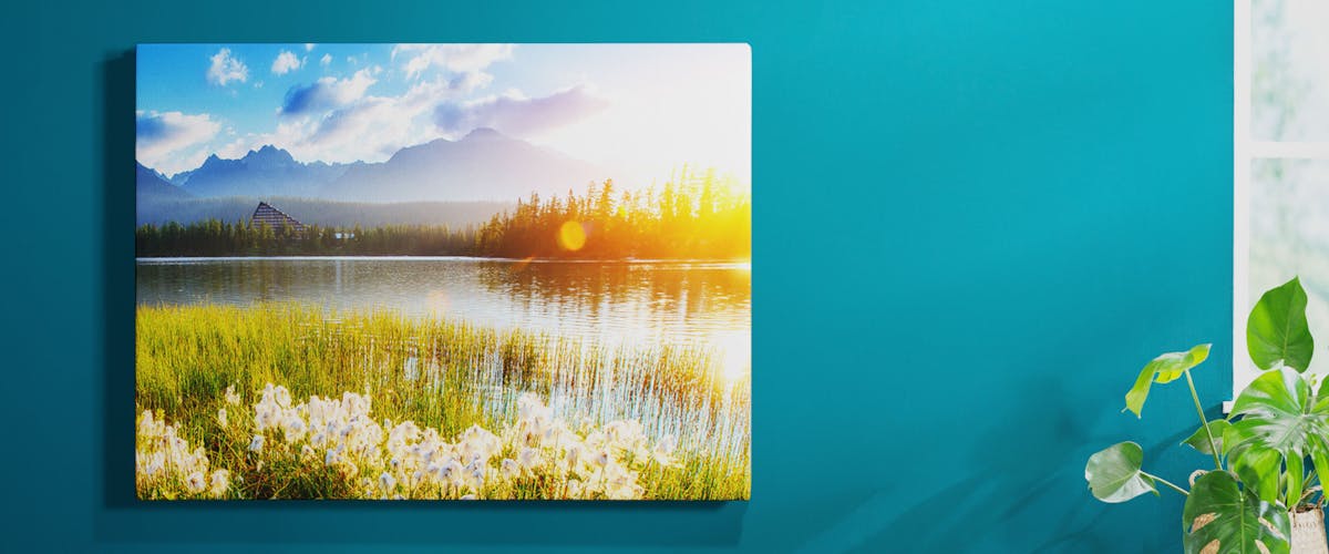 Fotodruck schwarz weiß - Der Favorit