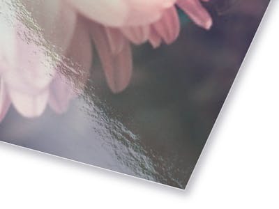 Pixum Fotopapier im Detail. 