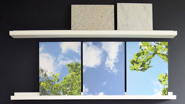 Himmel Und Baumkronen Auf Forex Pixum Kundenbeispiele