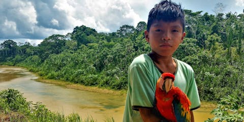 Bescherming van het Amazone regenwoud