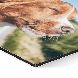 Puzzle eigene foto - Der absolute Testsieger unter allen Produkten