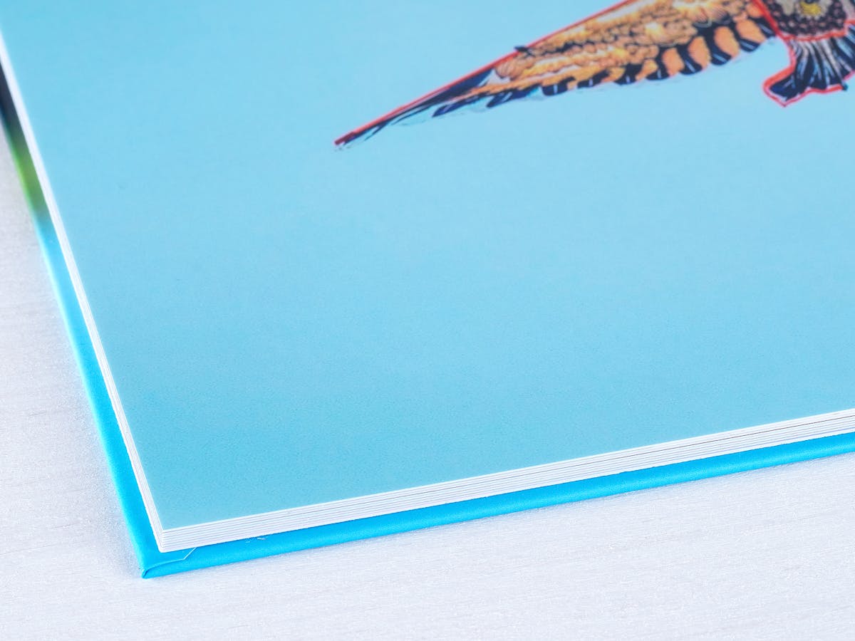 Photo Book Paper Types Glossy, matt & extra matt Pixum