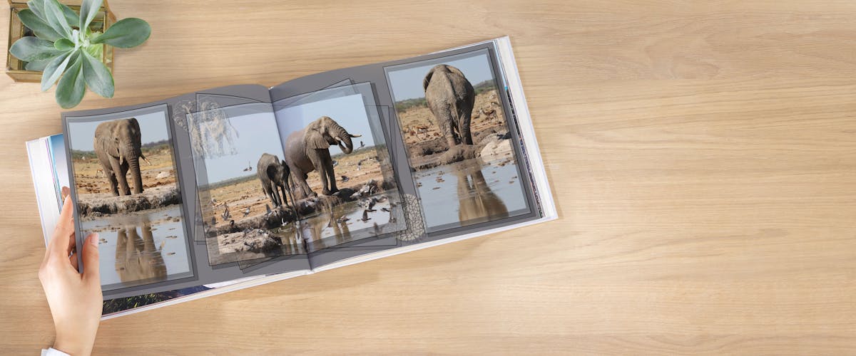 Fotobuch Des Jahres Einreichen Gewinnen Pixum