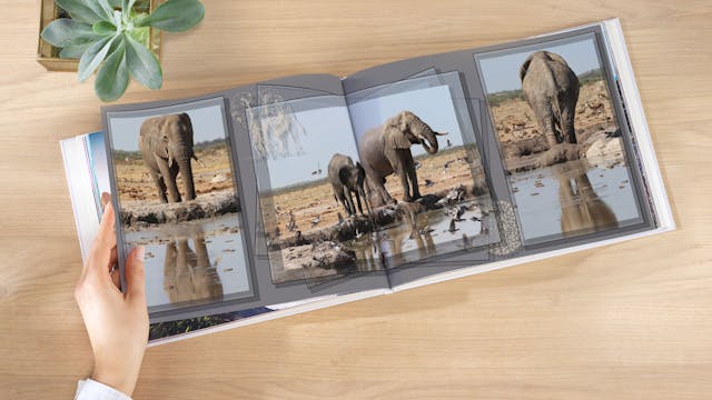 Fotobuch Des Jahres Einreichen Gewinnen Pixum