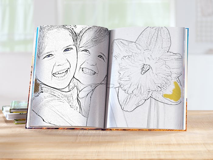 Pájaros | Libro De Colorear Para Mayores: Dibujos Grandes y Fáciles Para  Colorear Para Adultos O Para Principiantes | Cuaderno Para Colorear