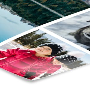 Preise Versandkosten Und Lieferzeiten Bei Pixum