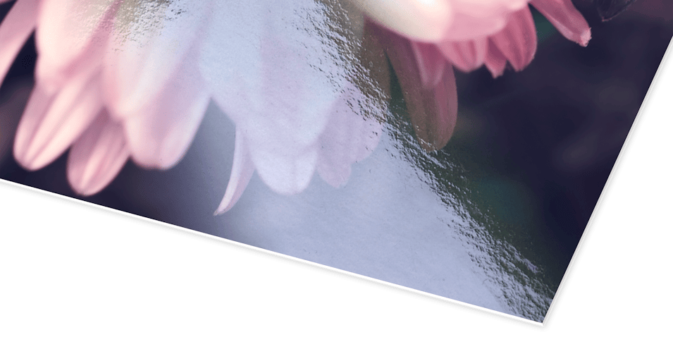 Fotoposter Poster Mit Eigenem Foto Erstellen Pixum