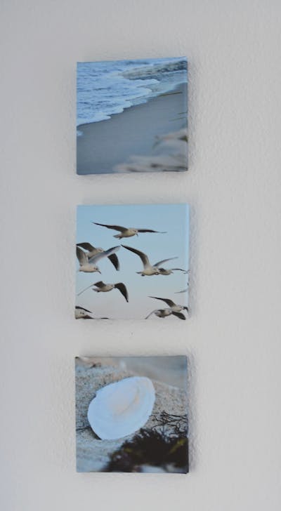 Das Meer Auf Fotoleinwand Pixum Kundenbeispiele